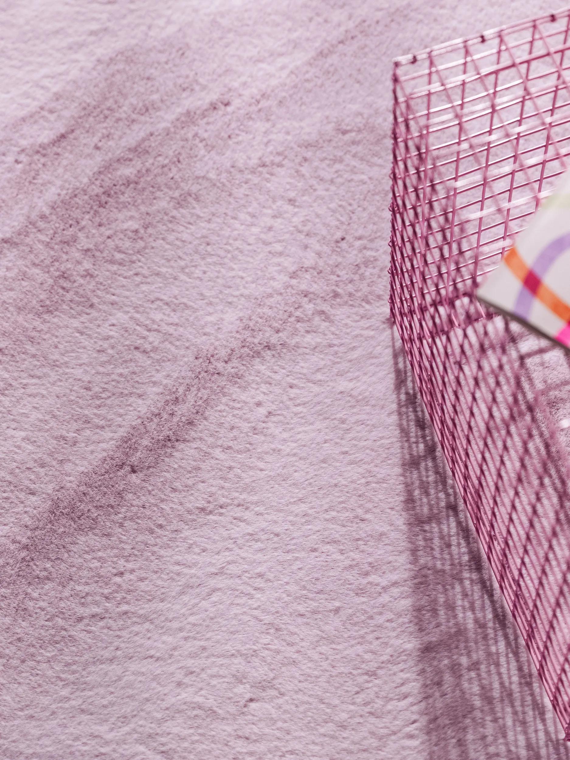 Shaggy rug Arlie Purple