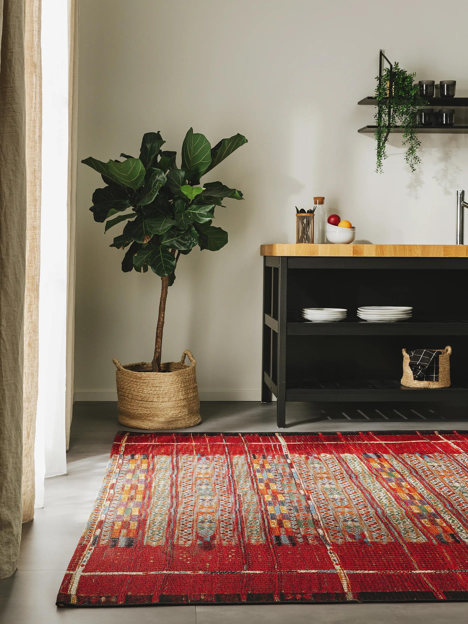 In- & Outdoor Rug Artis Multicolour/Red