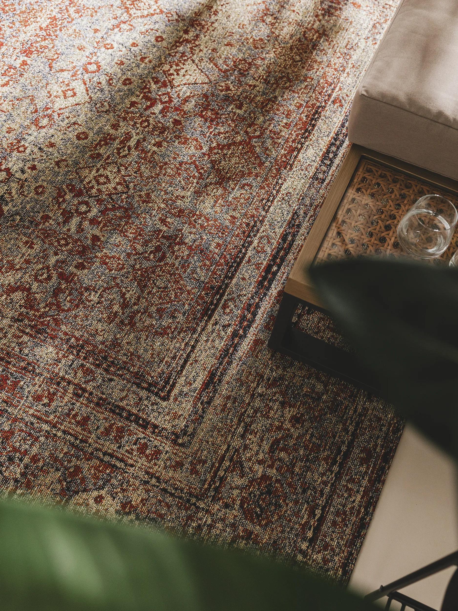 In- & Outdoor Rug Artis Multicolour