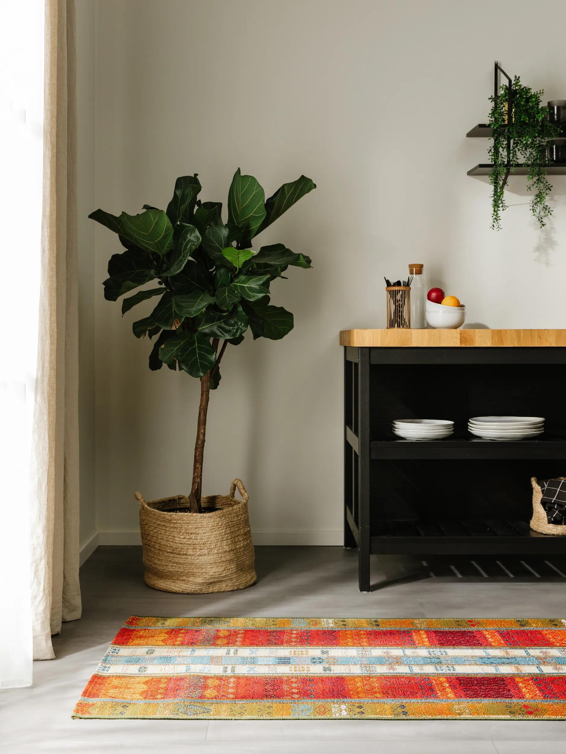 In- & Outdoor Rug Artis Multicolour