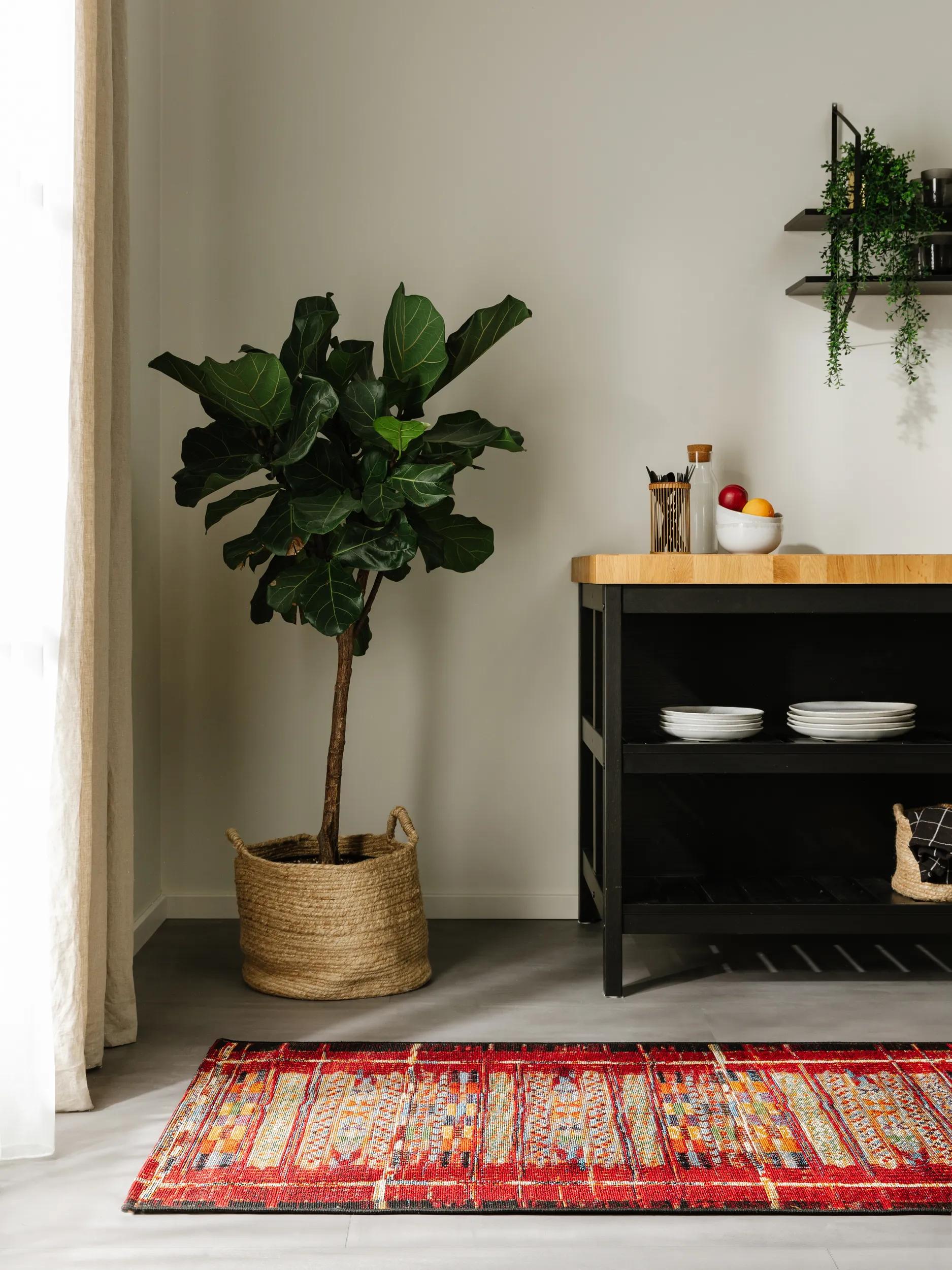 In- & Outdoor Rug Artis Multicolour/Red