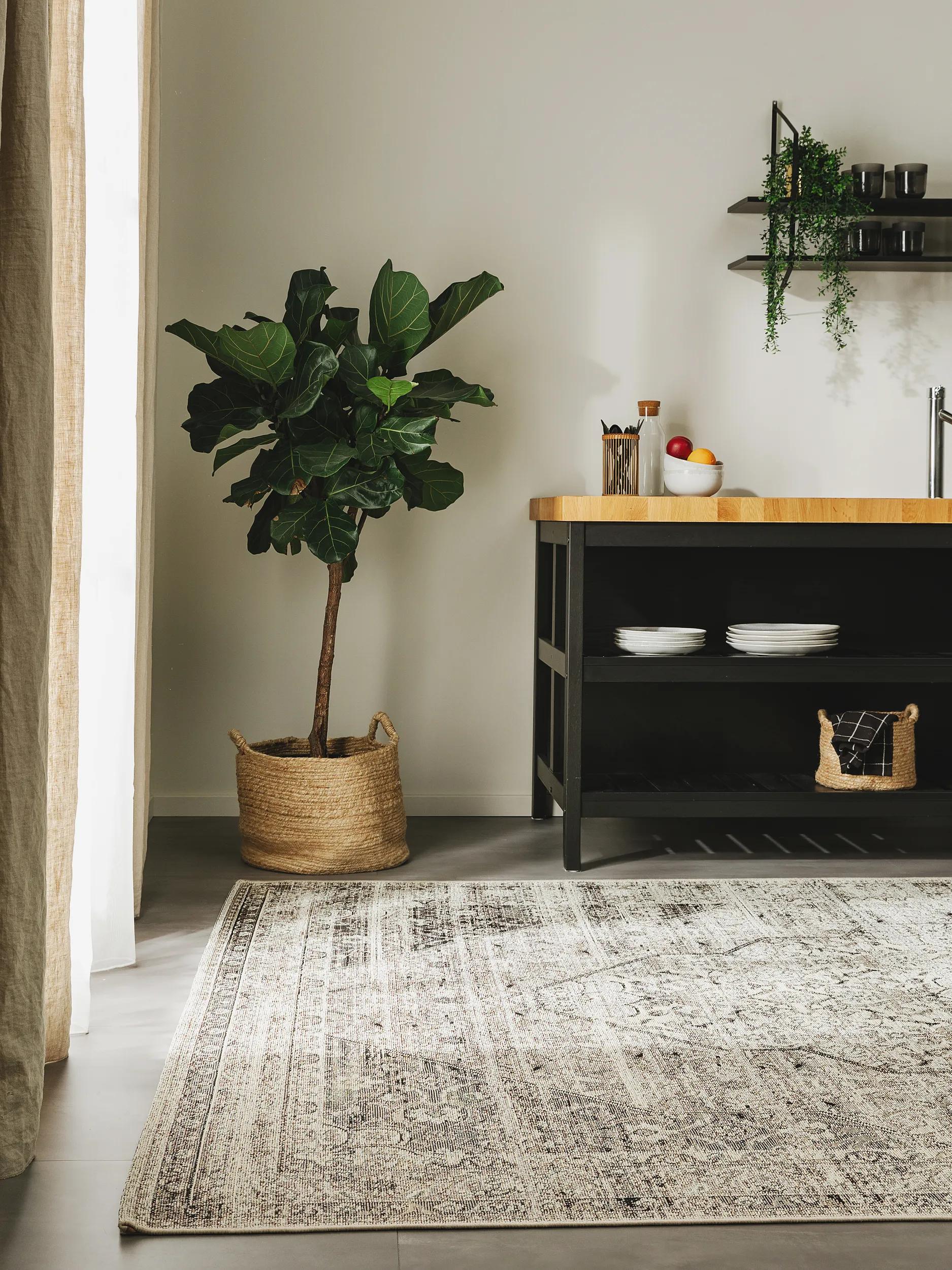 In- & Outdoor Teppich Artis Kohle