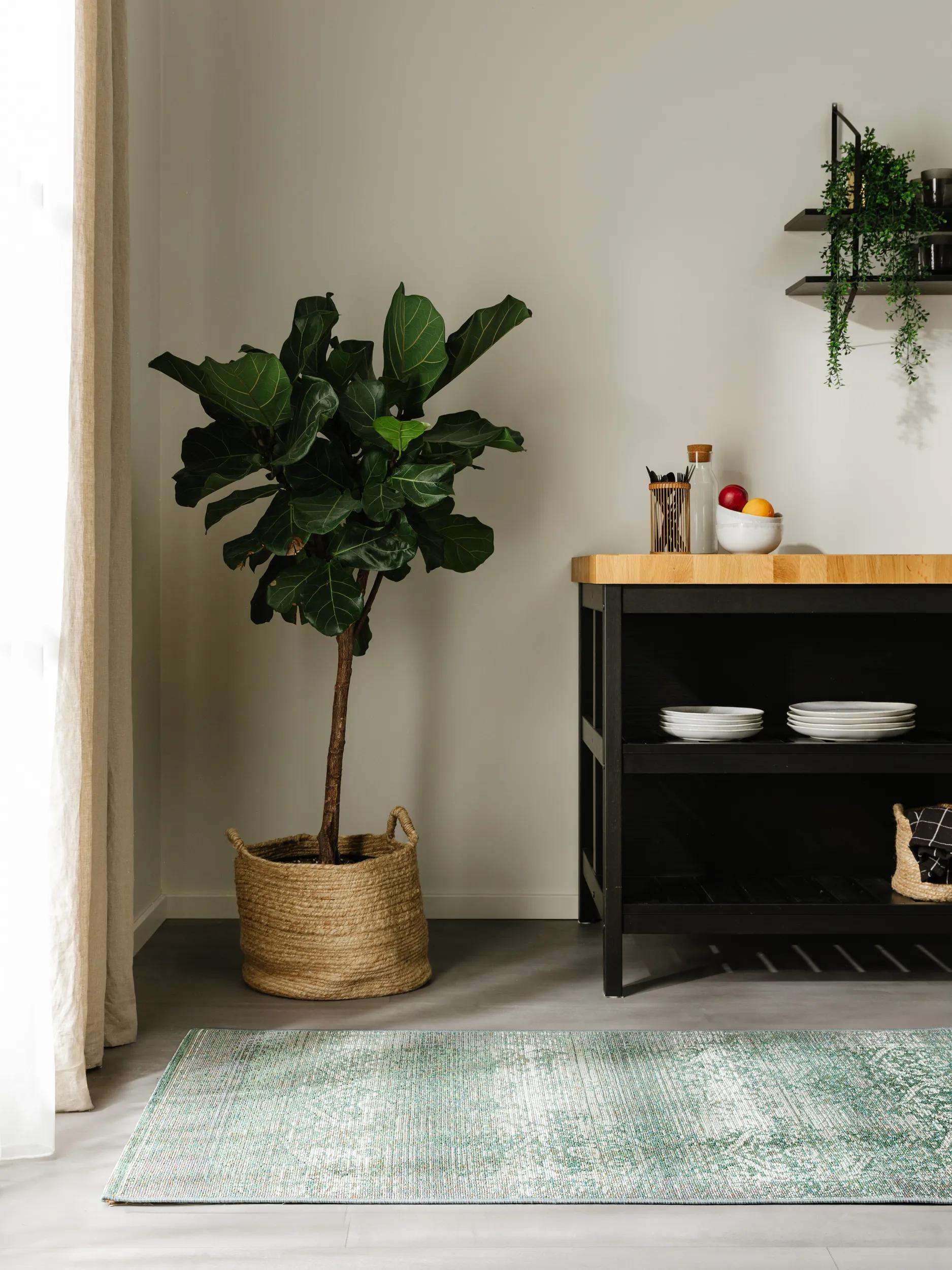 In- & Outdoor Runner Artis Green