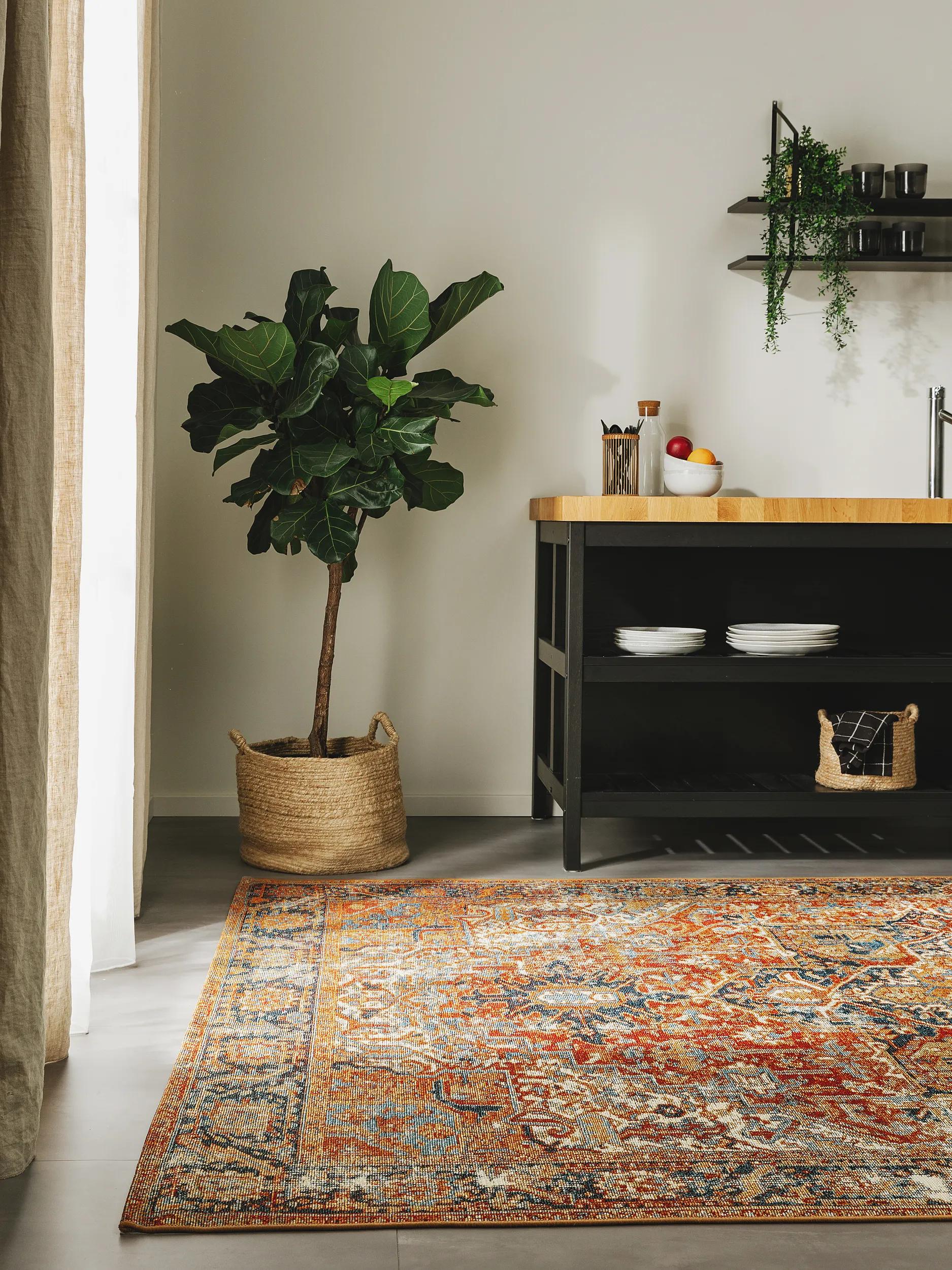 In- & Outdoor Rug Artis Multicolour