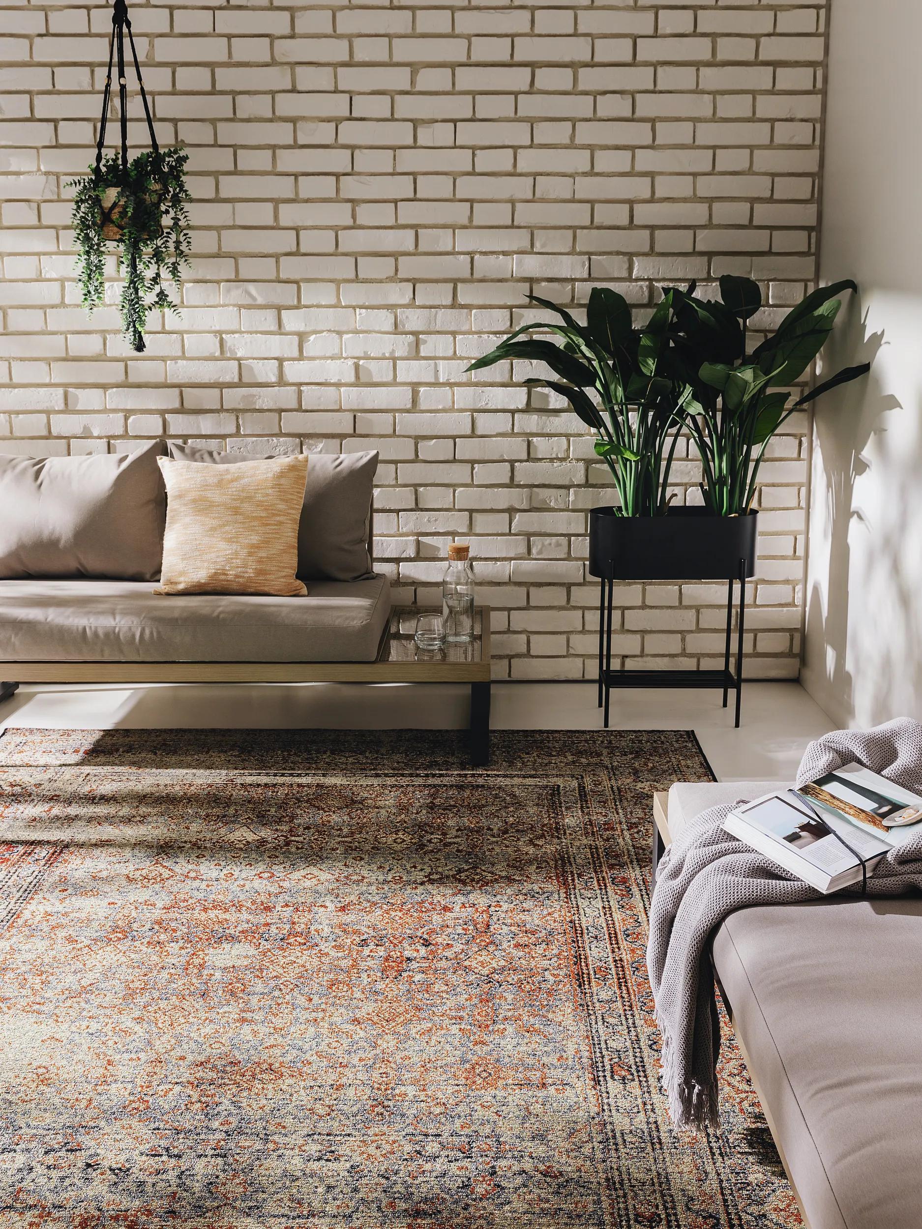 In- & Outdoor Rug Artis Multicolour