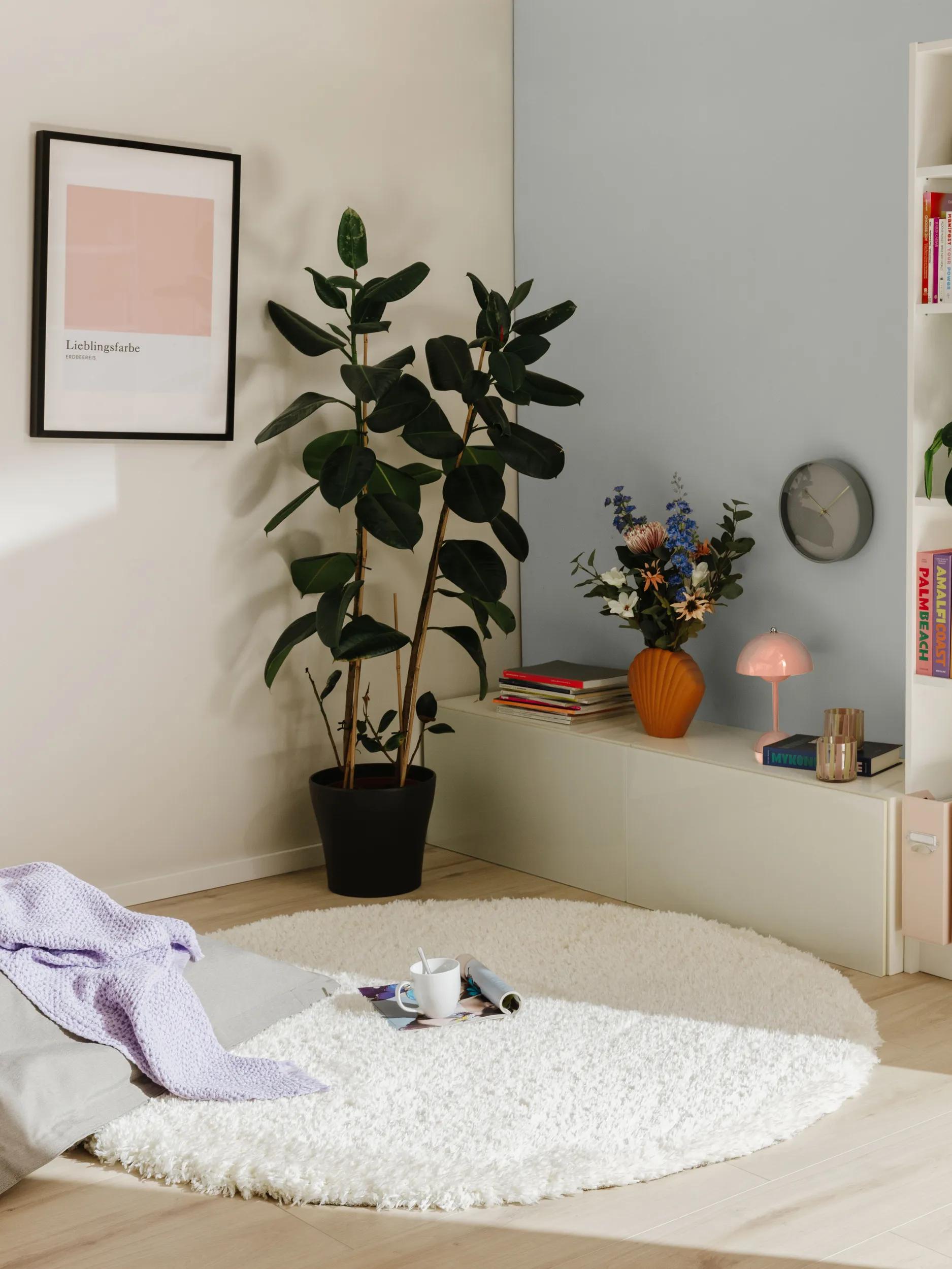 Shaggy rug Ava Cream