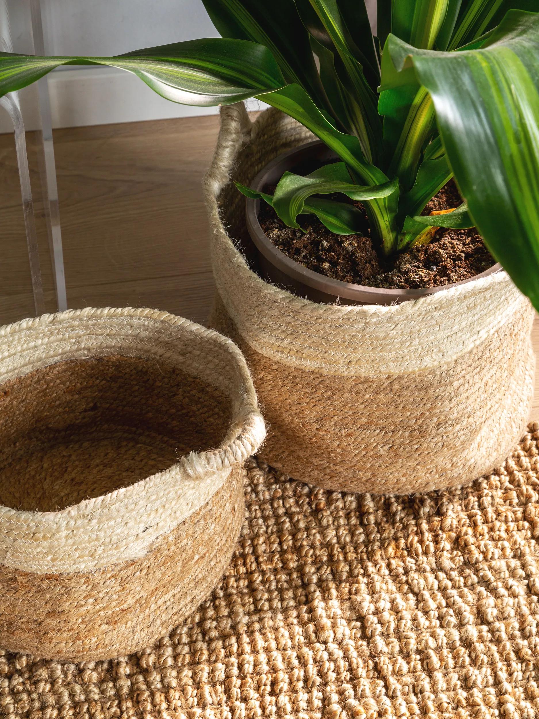 Basket set (3 pcs.) Aylin Cream/Beige