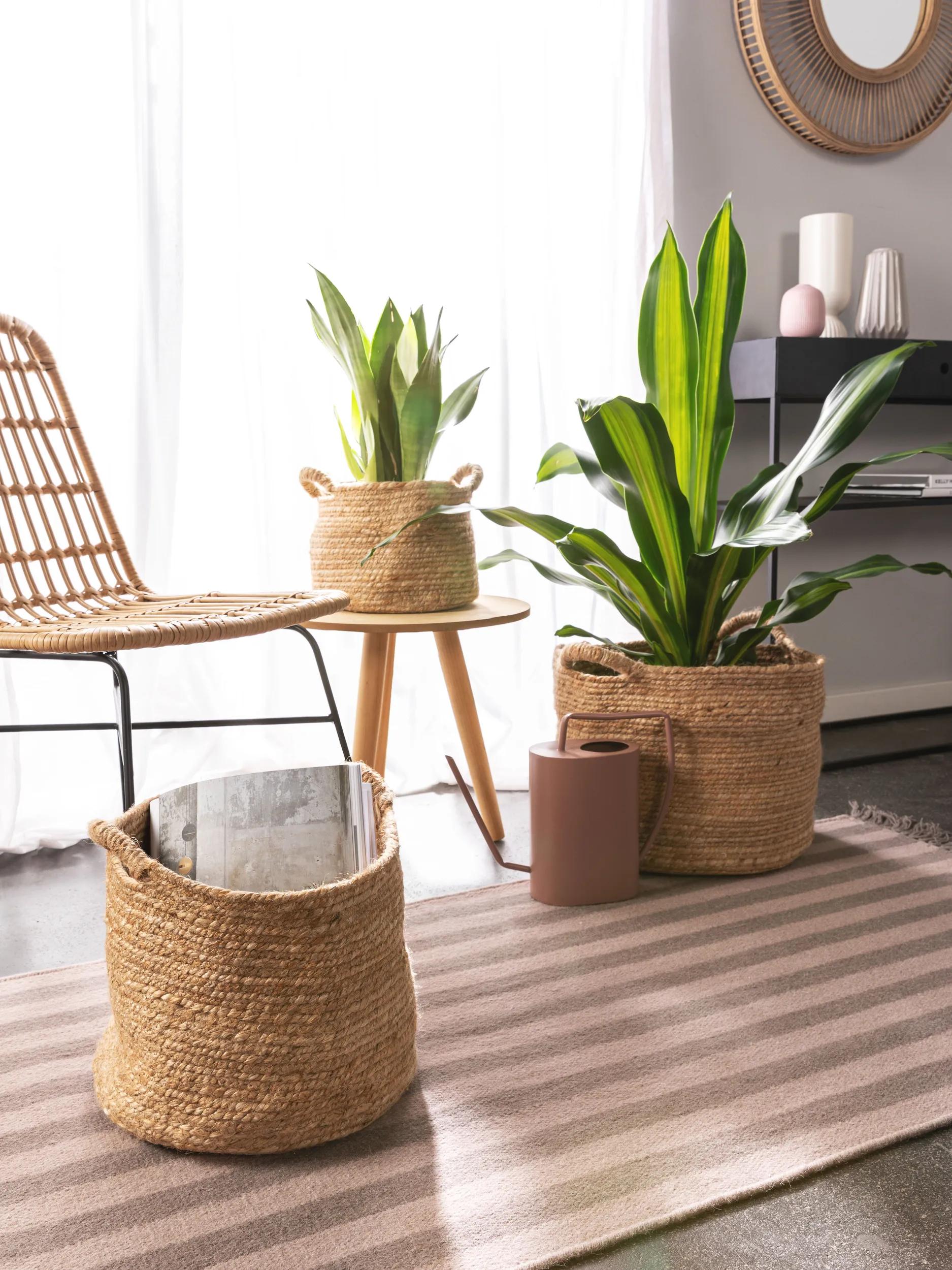 Basket set (3 pcs.) Aylin natural