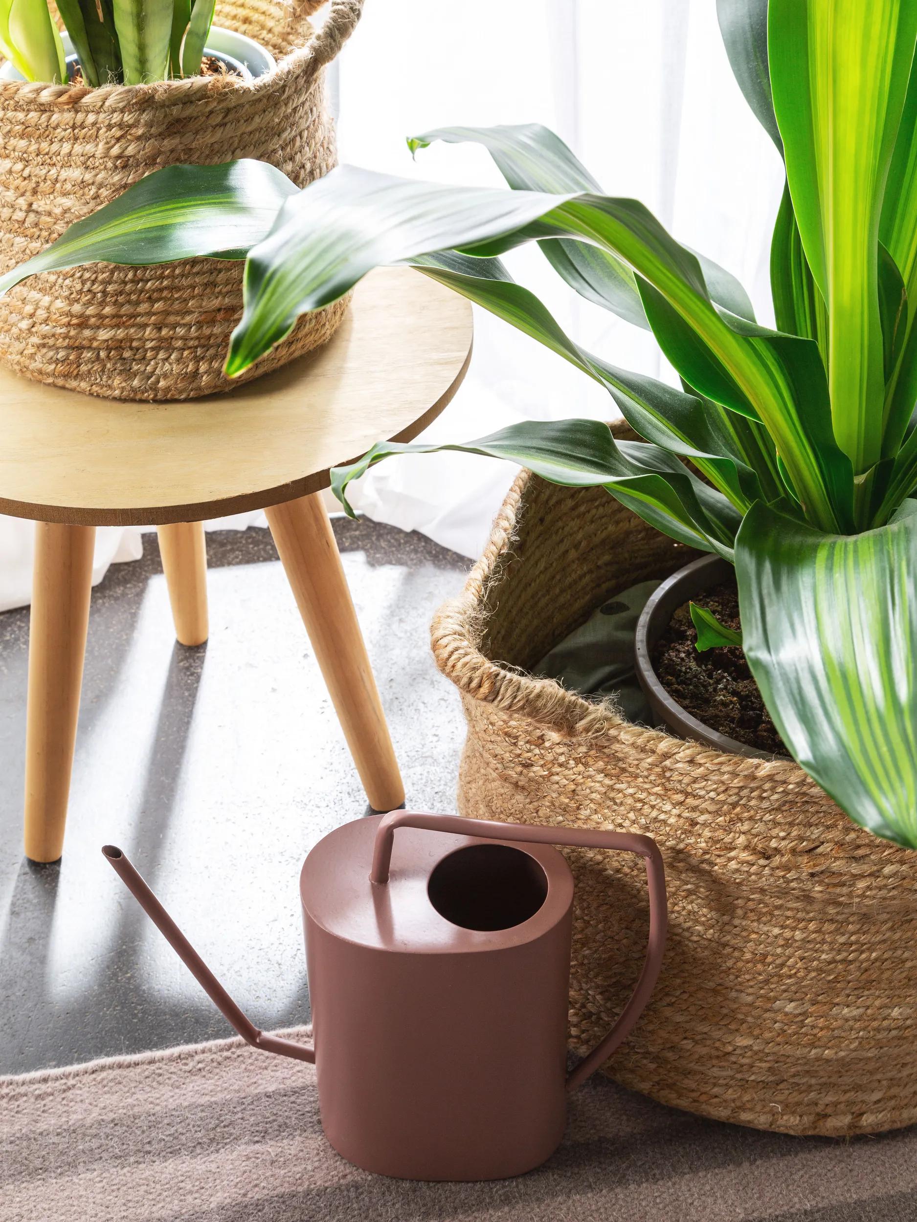 Basket set (3 pcs.) Aylin natural