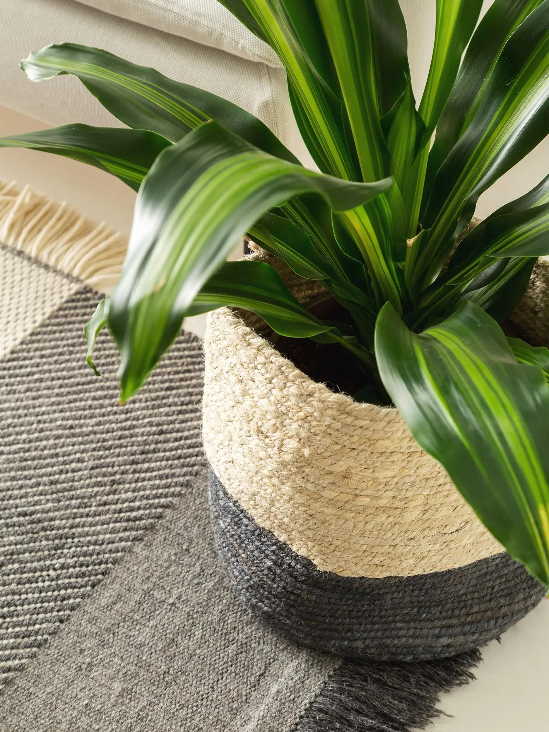 Basket Aylin Cream/Grey