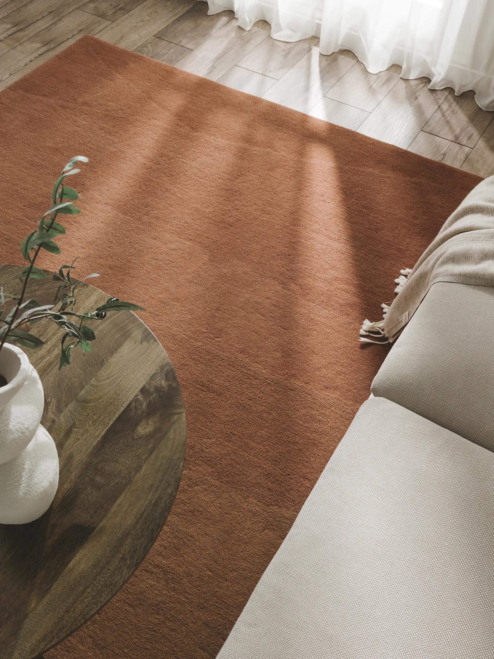 Wool Rug Dawn Terracotta