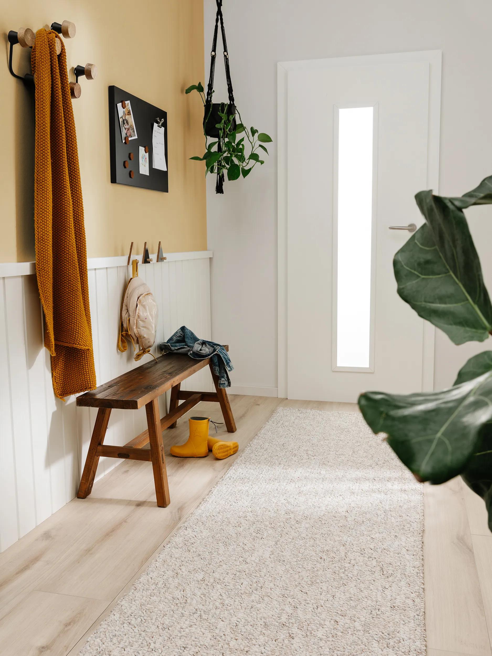 Washable Rug Enzo Multicolour