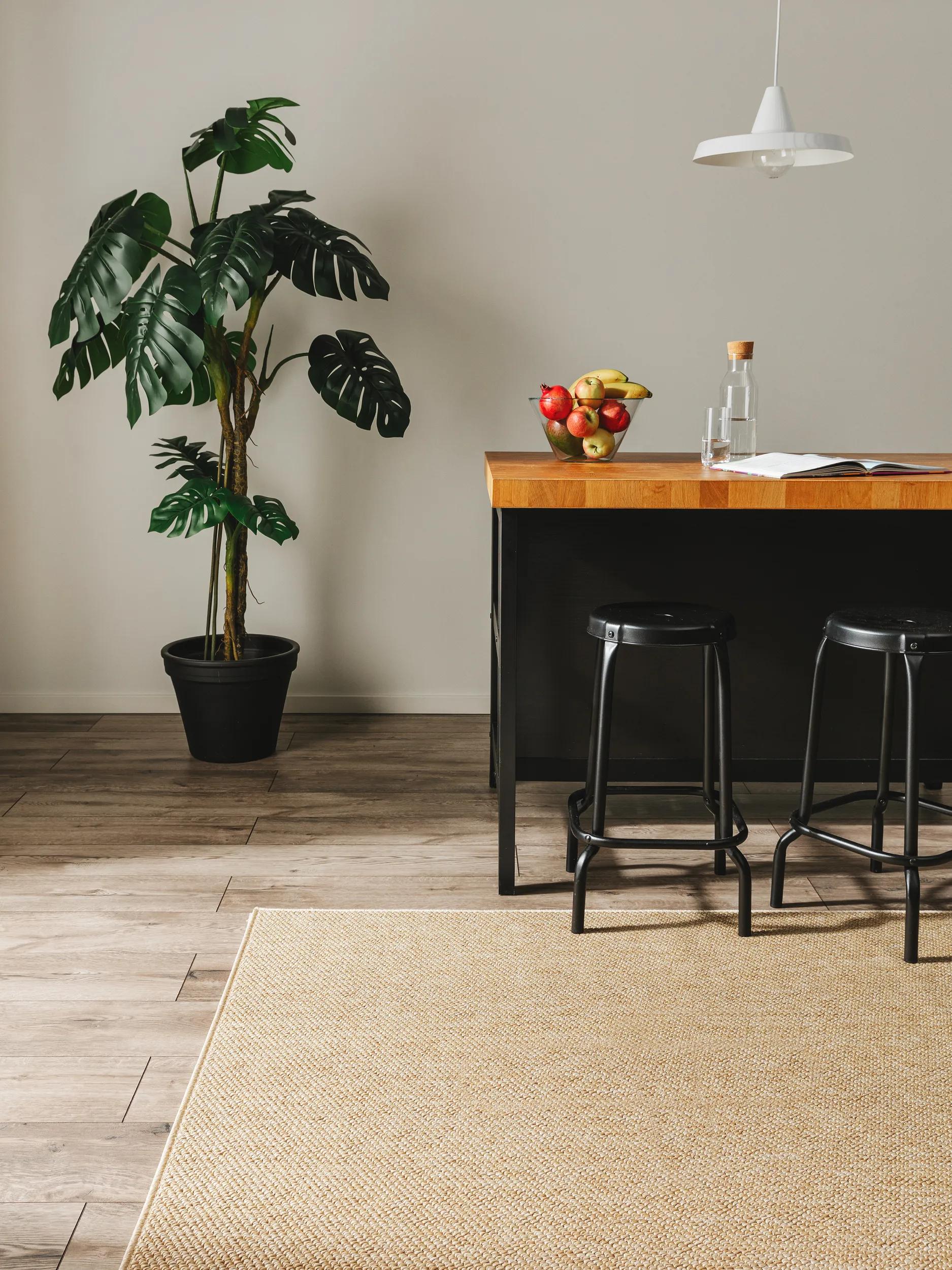 In- & Outdoor Rug Iowa Beige