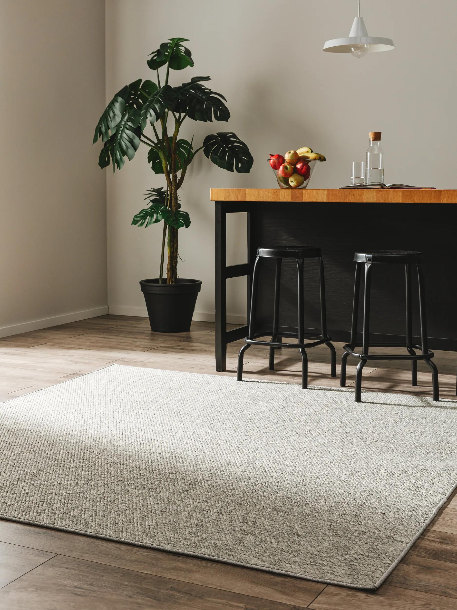 In- & Outdoor Rug Iowa Light Grey