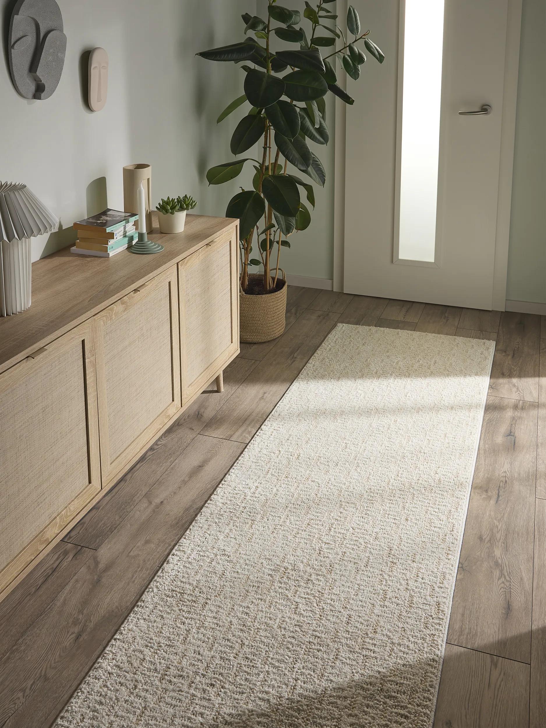 Runner Lilibeth Cream