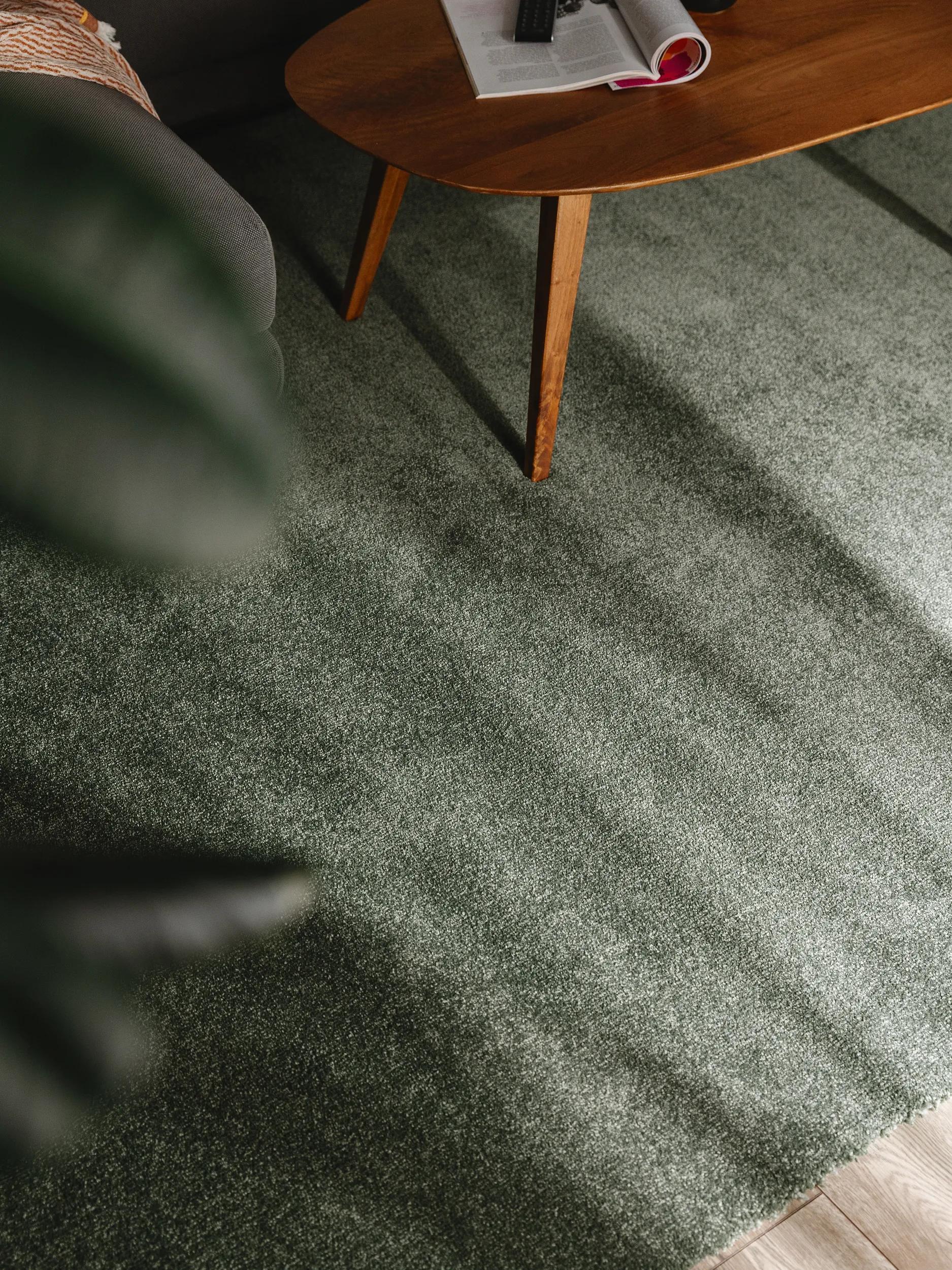 Washable Rug Melvin Green