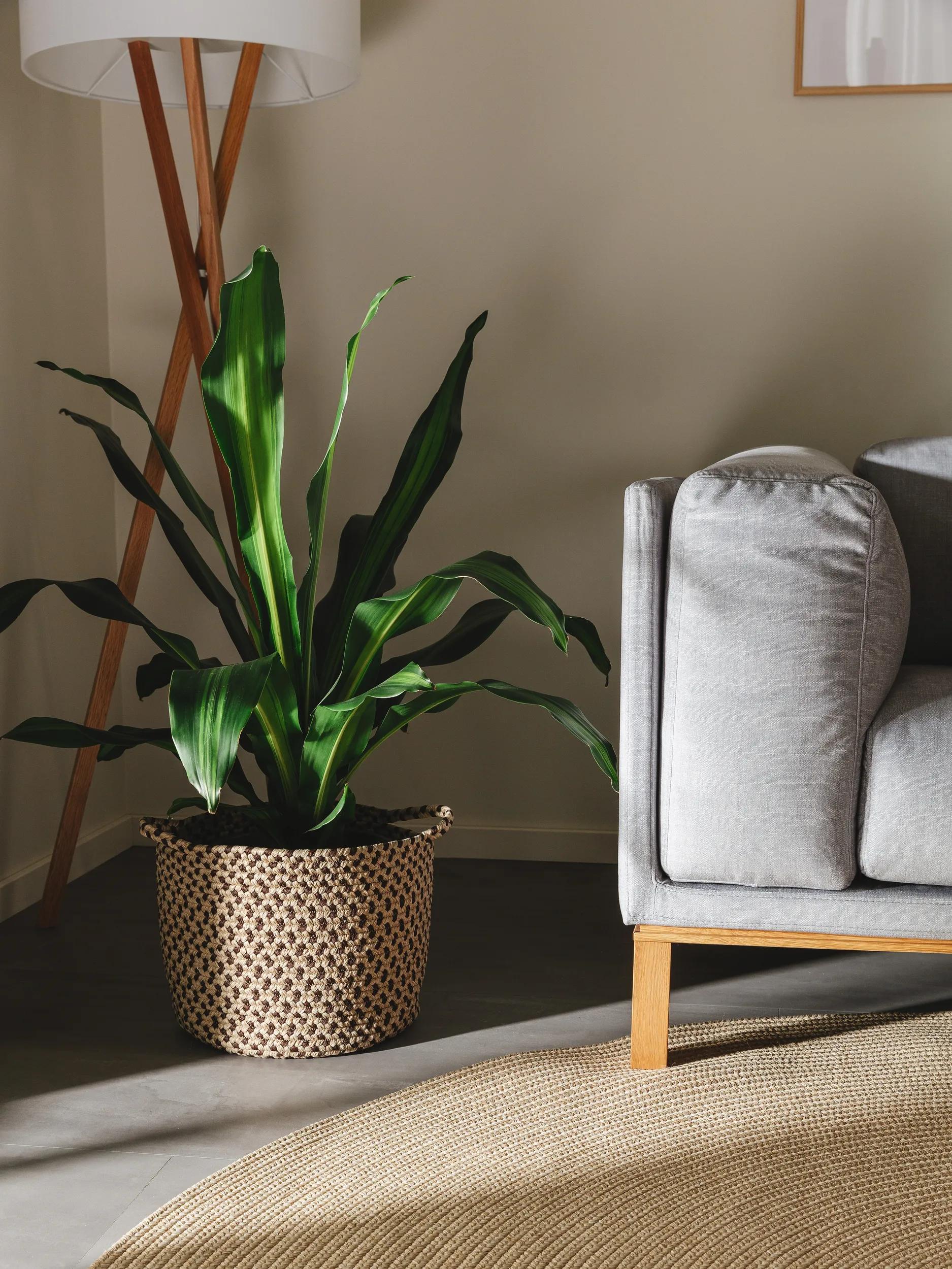 Basket Nandi Beige/Brown