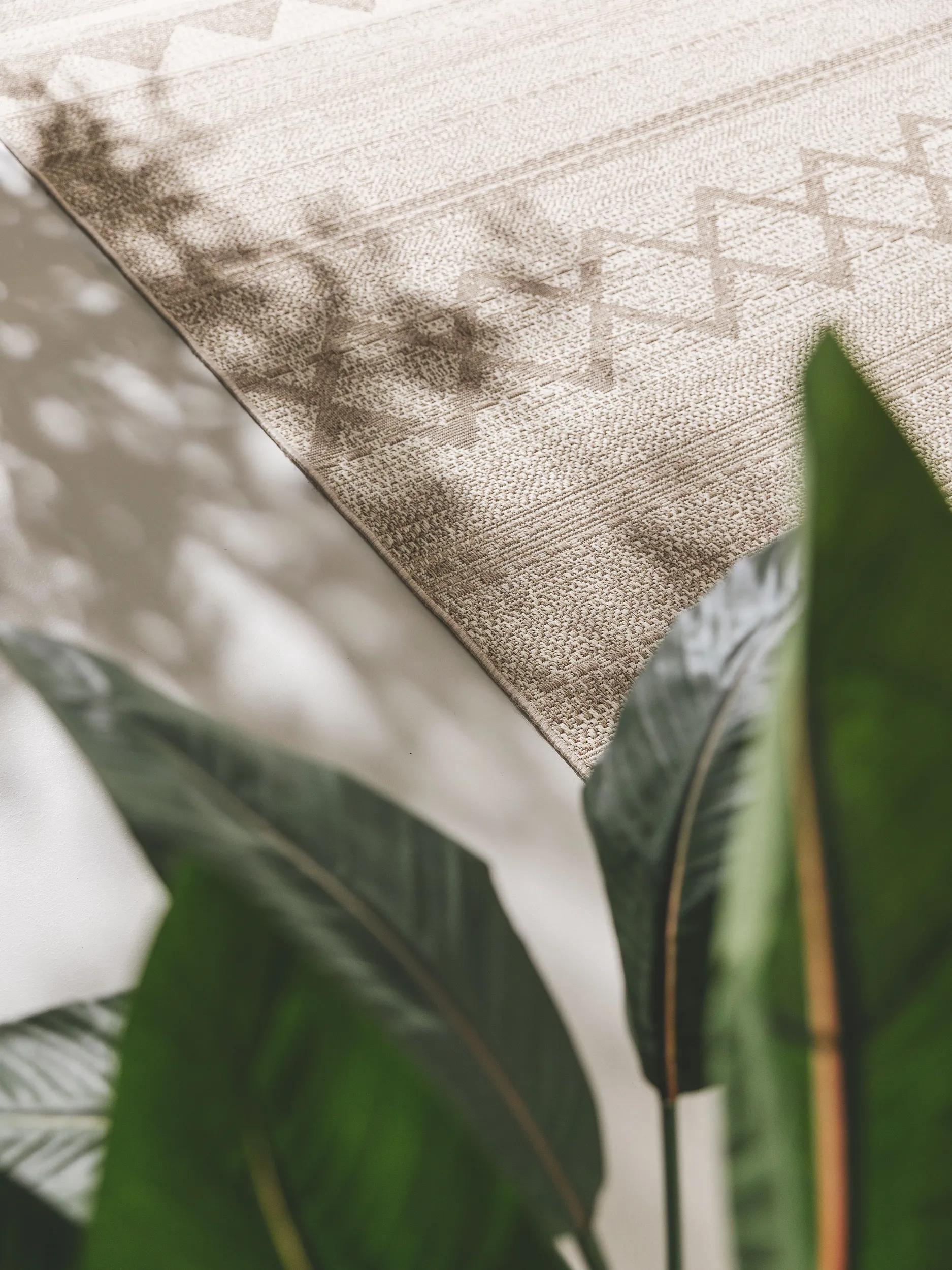 In- & Outdoor Rug Naoto Taupe