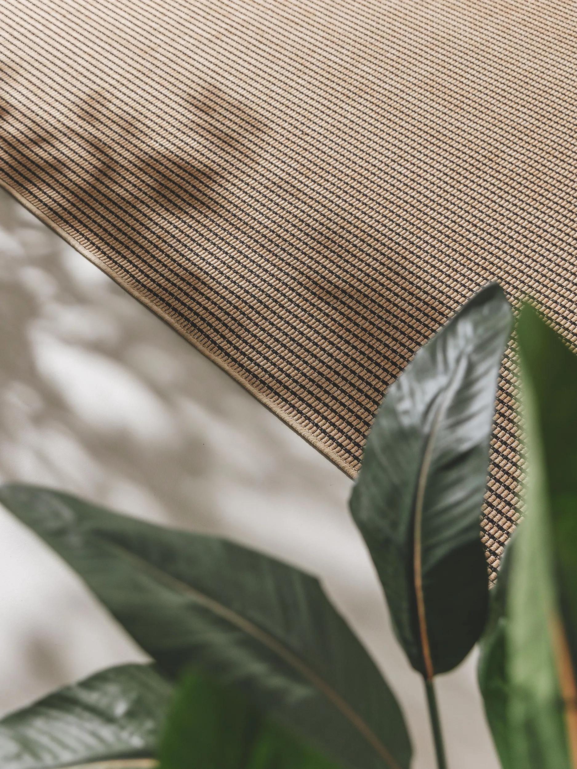 Alfombra de interior y exterior Naoto Beige/Negro