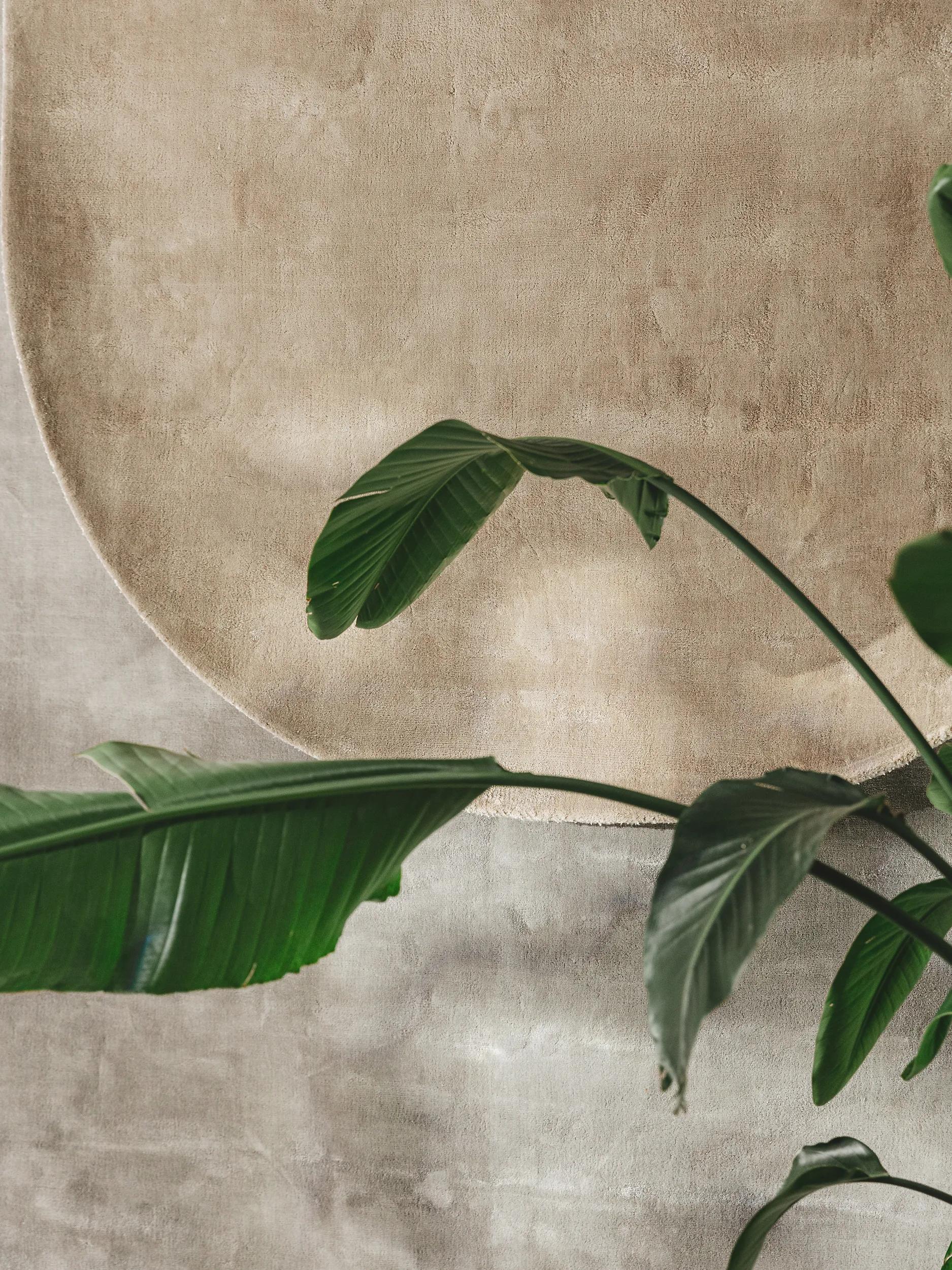 Viscose Rug Oval Nela Taupe