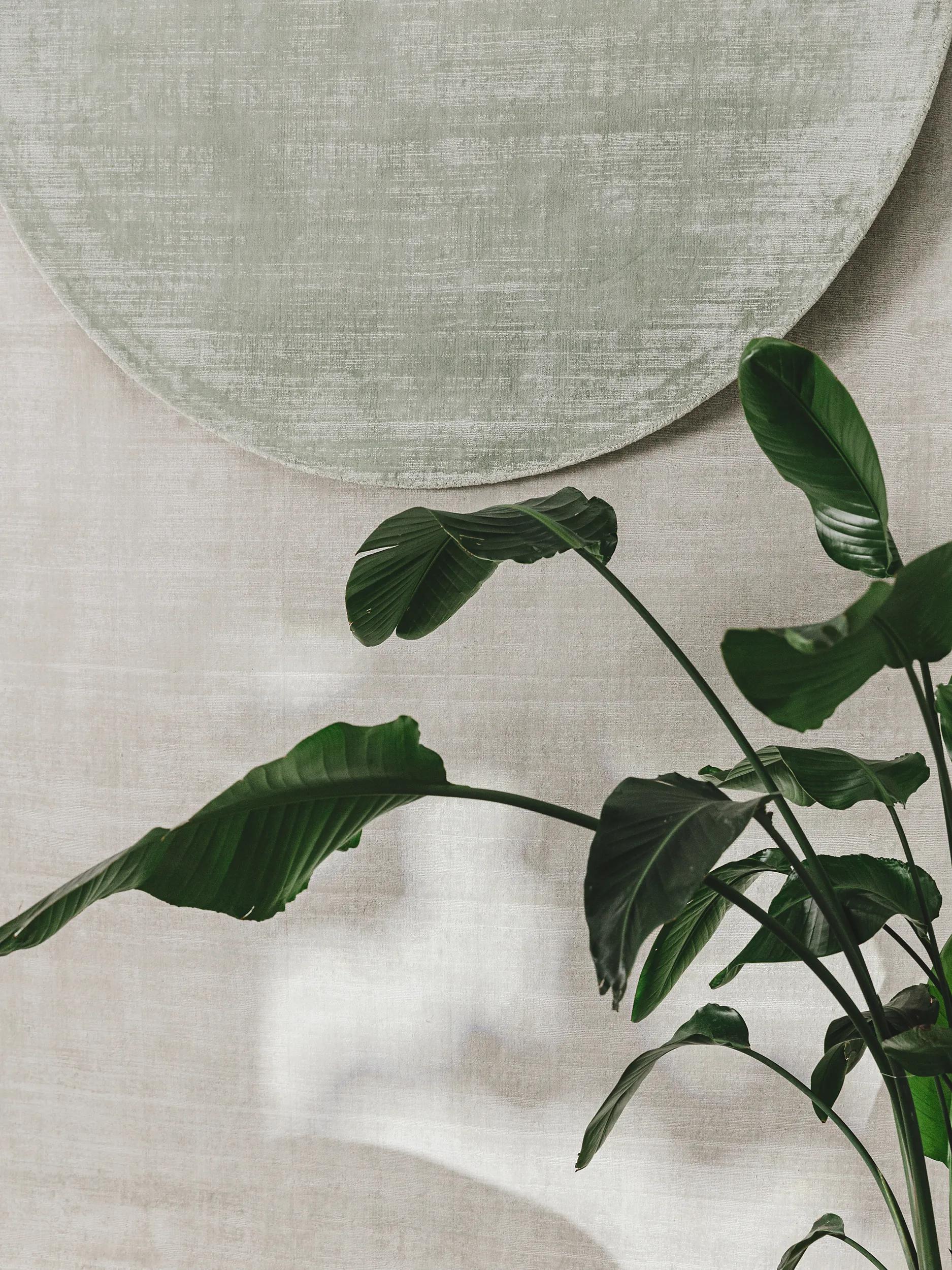 Viscose Rug Round Nova Mint