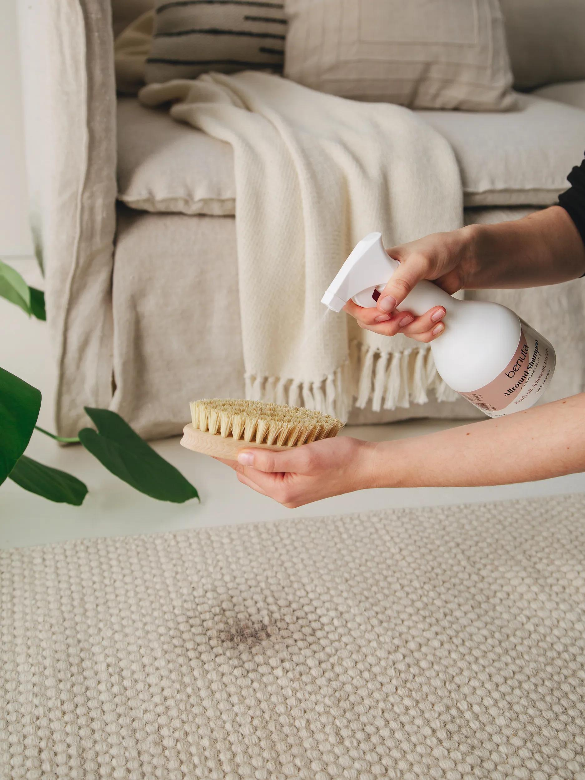 Carpet cleaner Set Fresh