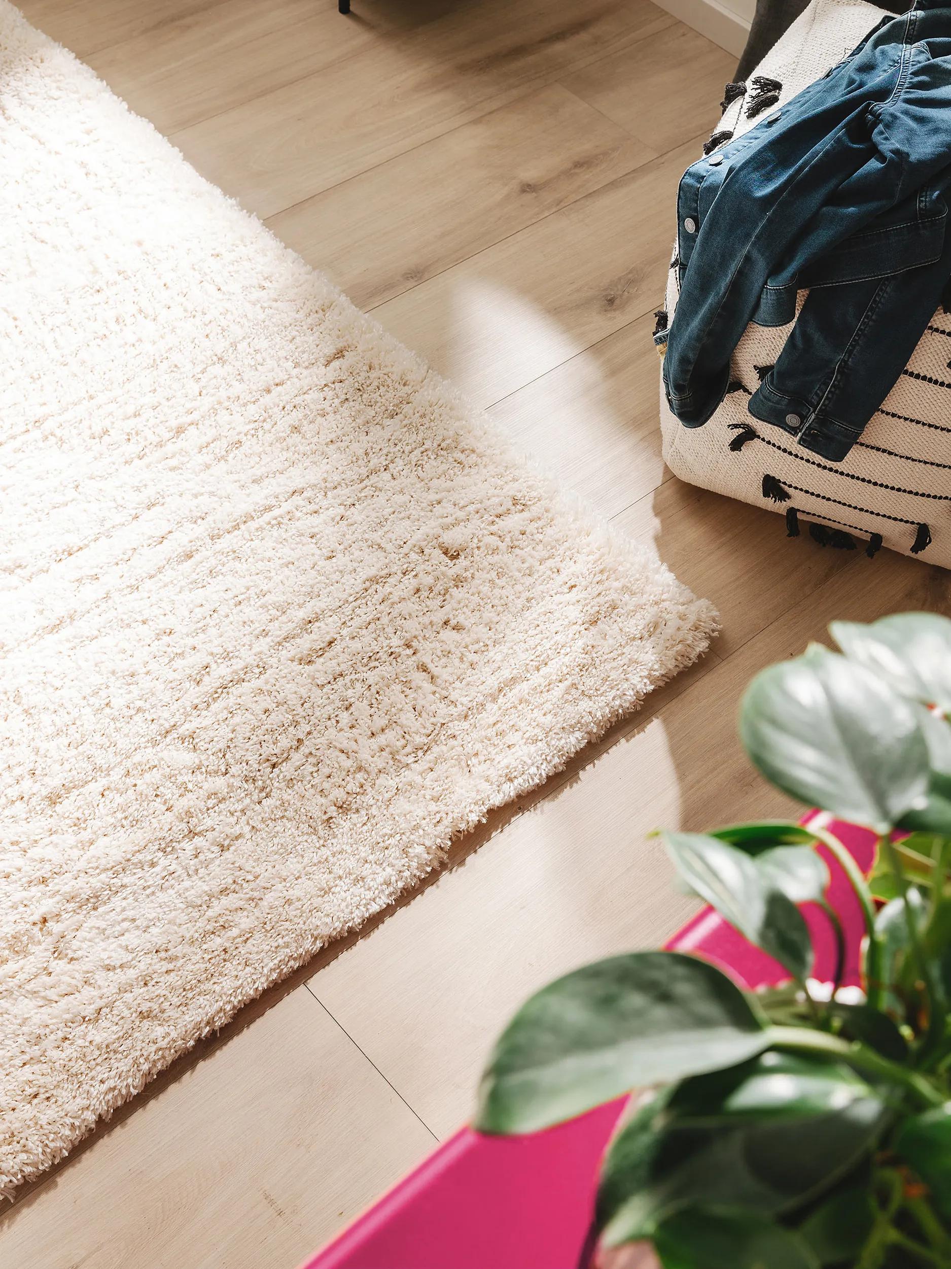 Shaggy rug Ricky Cream