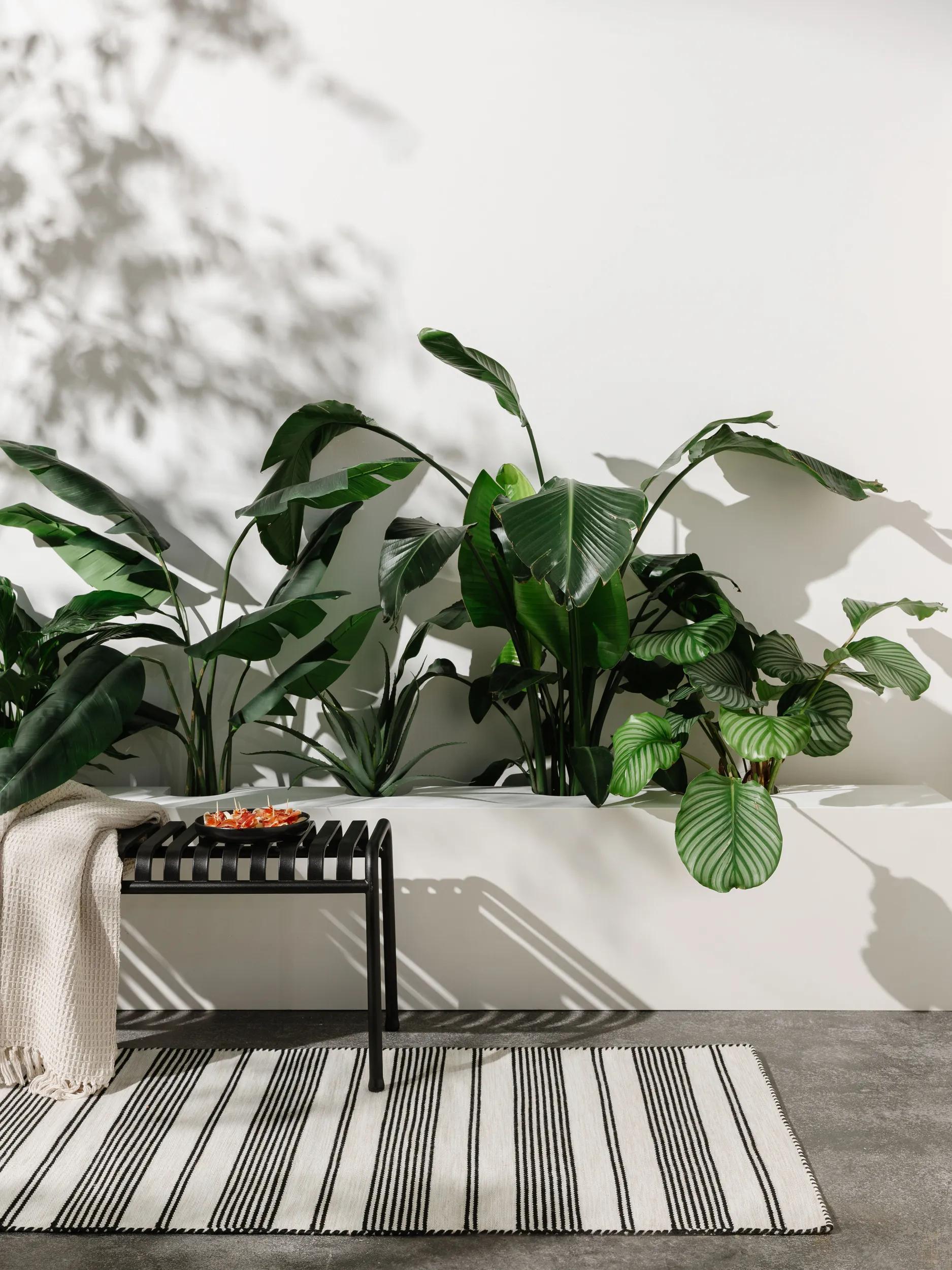 In- & Outdoor Runner Rida Beige/Black