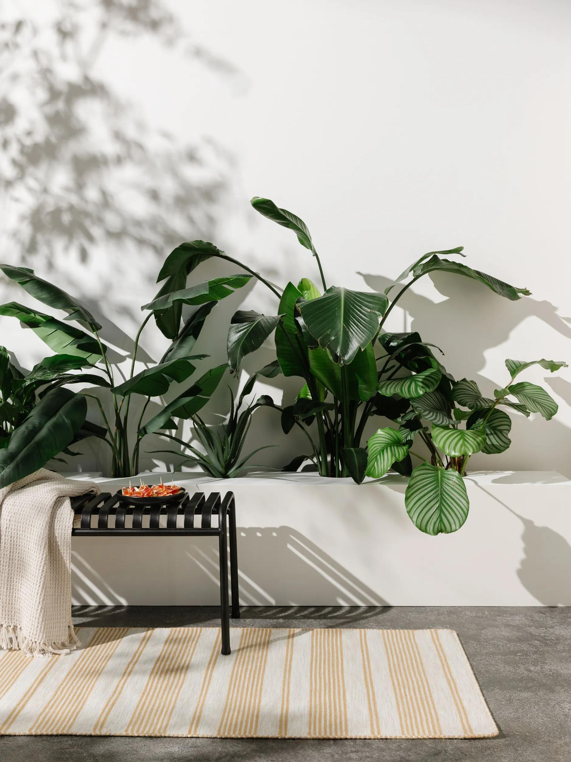 In- & Outdoor Runner Rida Beige/Yellow