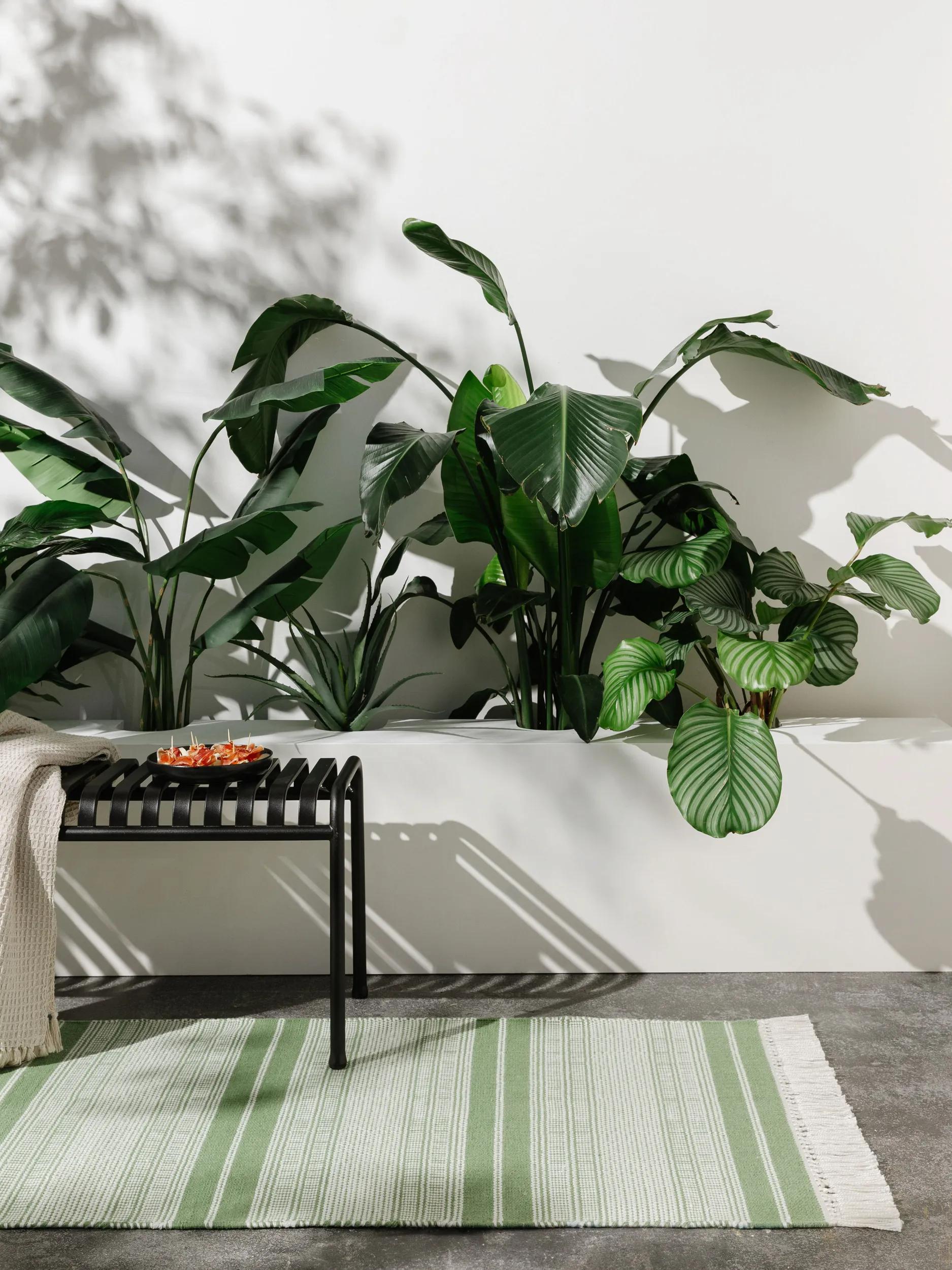 In- & Outdoor Runner Siena Green