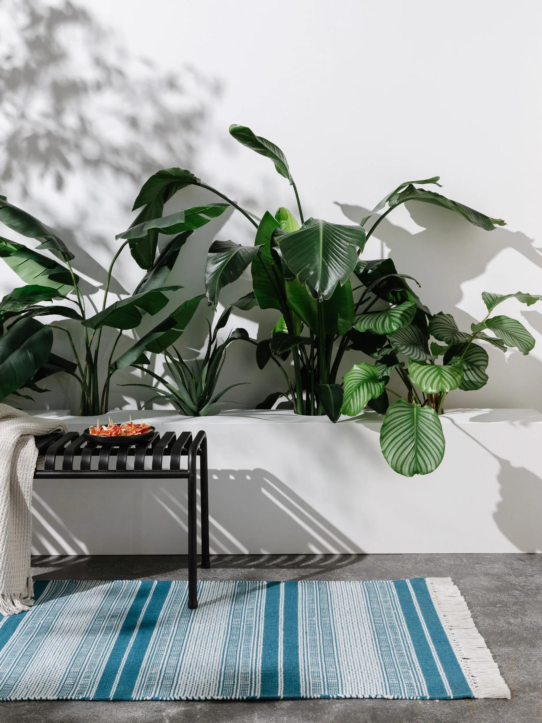 In- & Outdoor Runner Siena Petrol