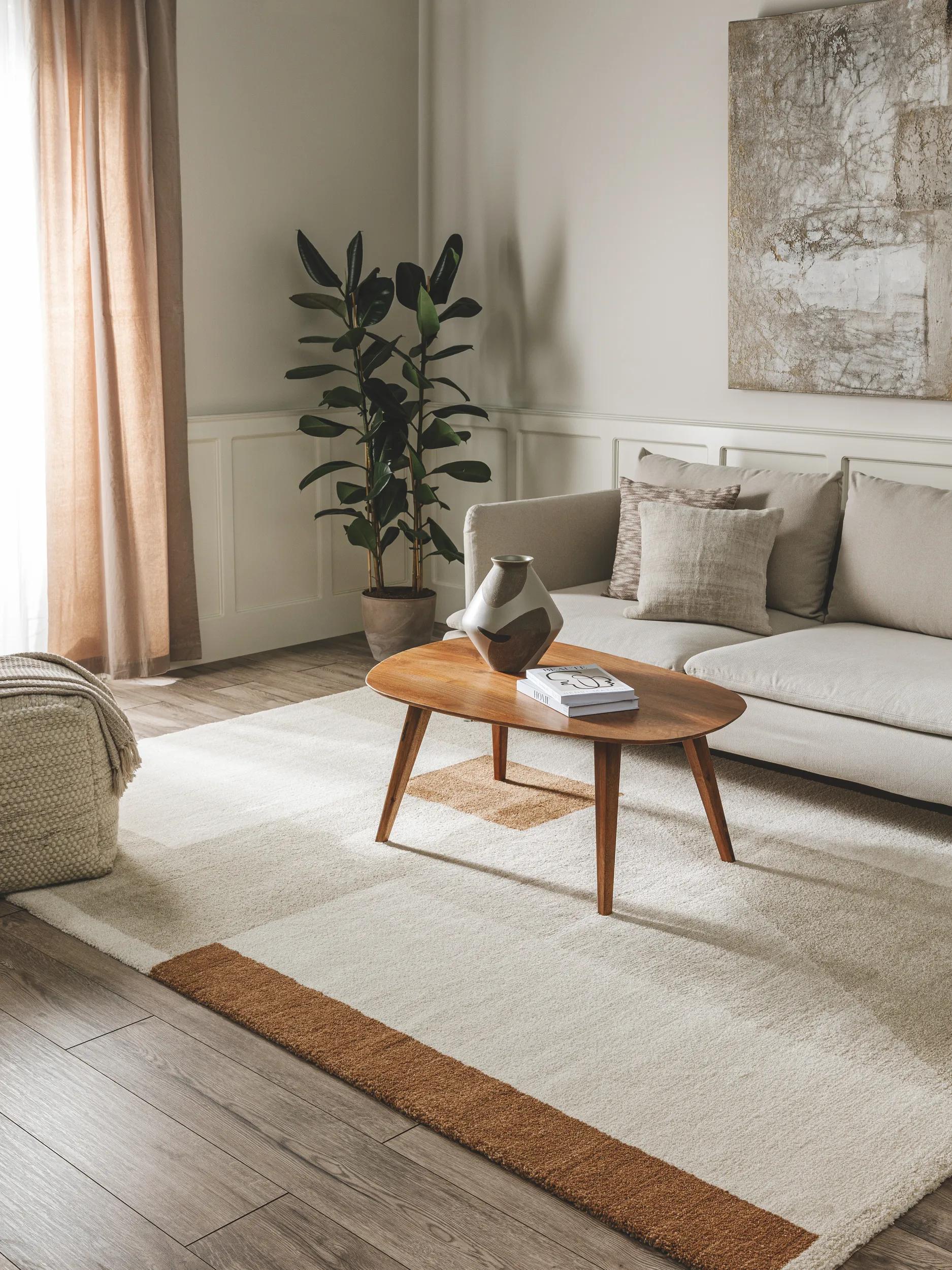 Rug Tacoma Beige/Brown