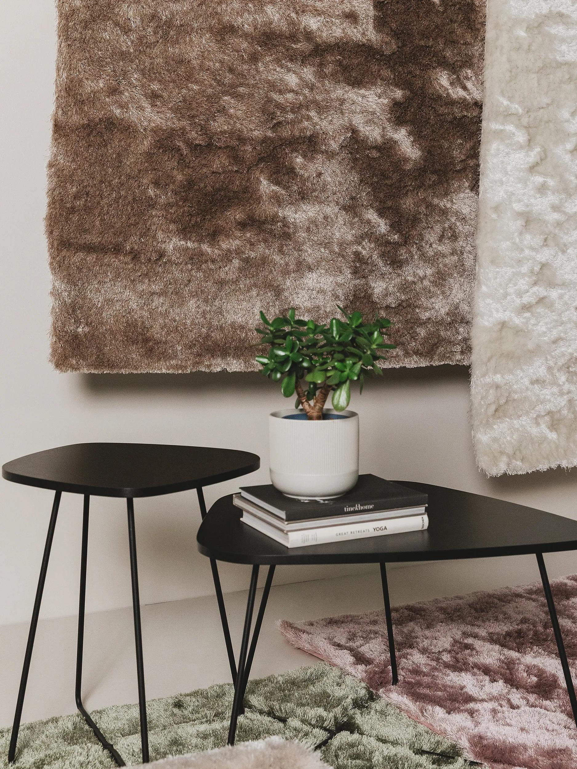 Shaggy rug Whisper Light Brown