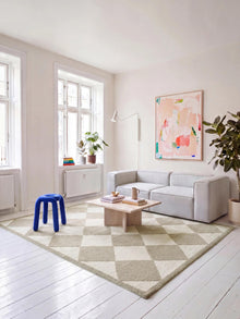 Rug Ally Grey