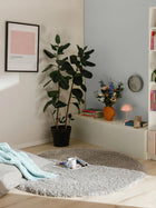 Shaggy rug Ava Grey
