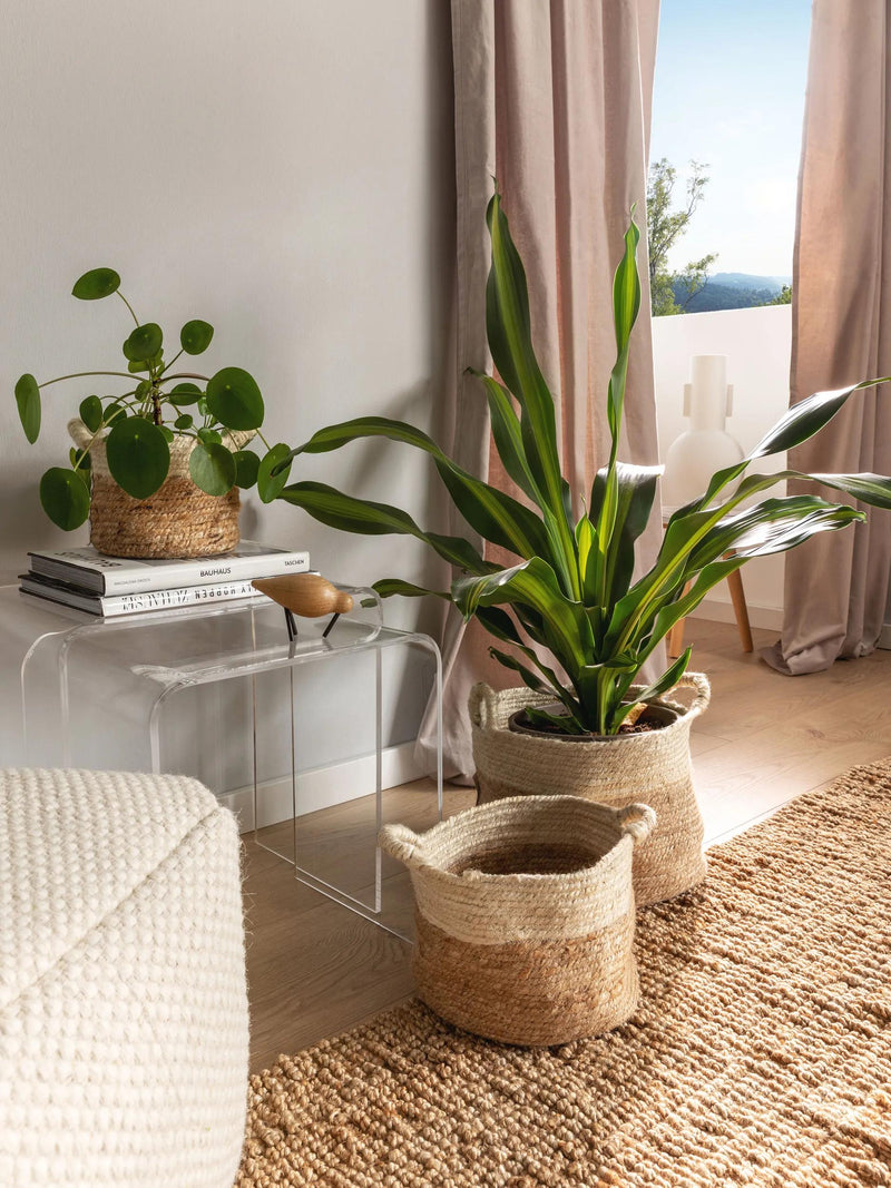 Basket set (3 pcs.) Aylin Cream/Beige