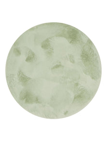 Dave Light Green