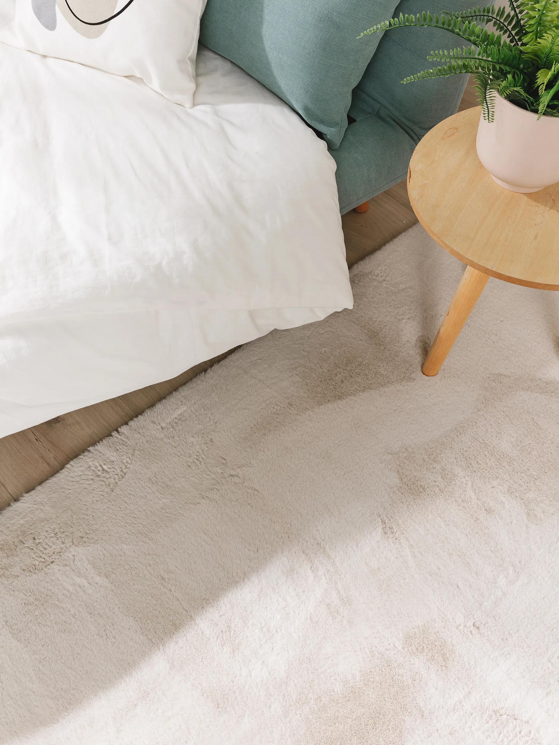 Fur Rug Furry Beige