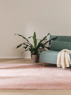 Fur Rug Furry Rose