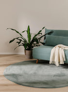 Fur Rug Furry Green