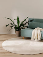 Fur Rug Furry Beige