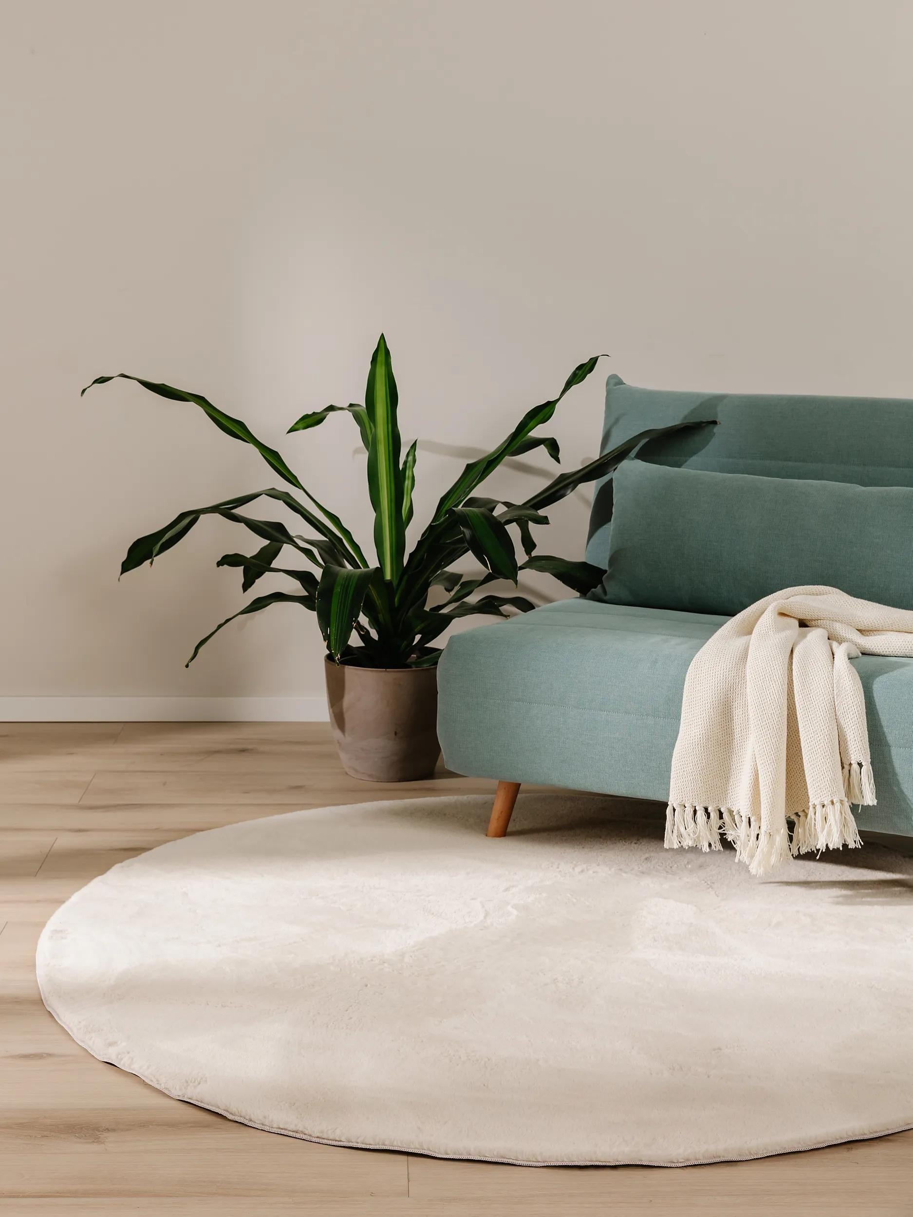 Fur Rug Furry Beige