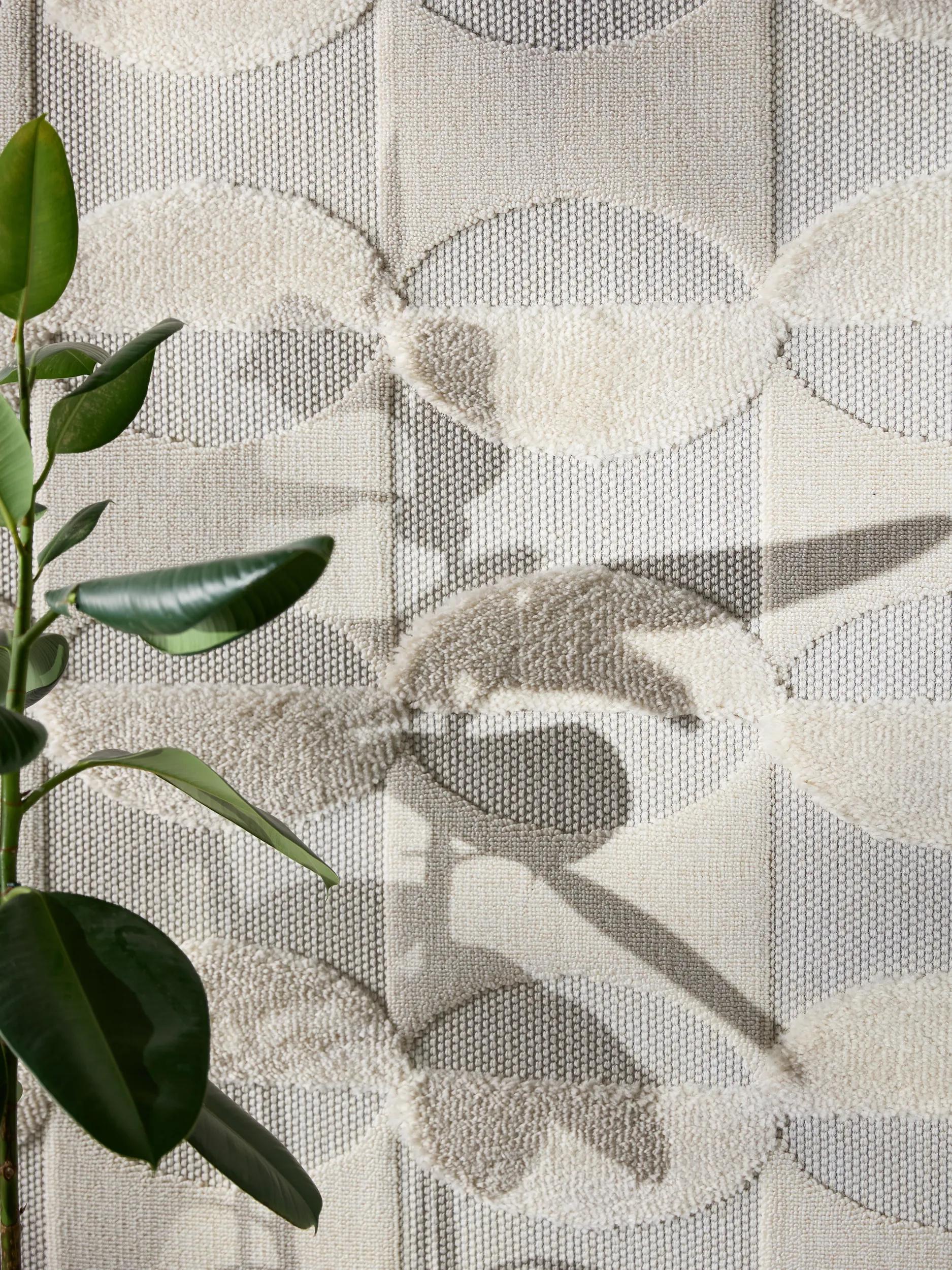 Rug Haro Cream