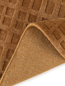 Rug Beige/Light Brown