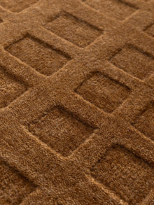 Rug Beige/Light Brown