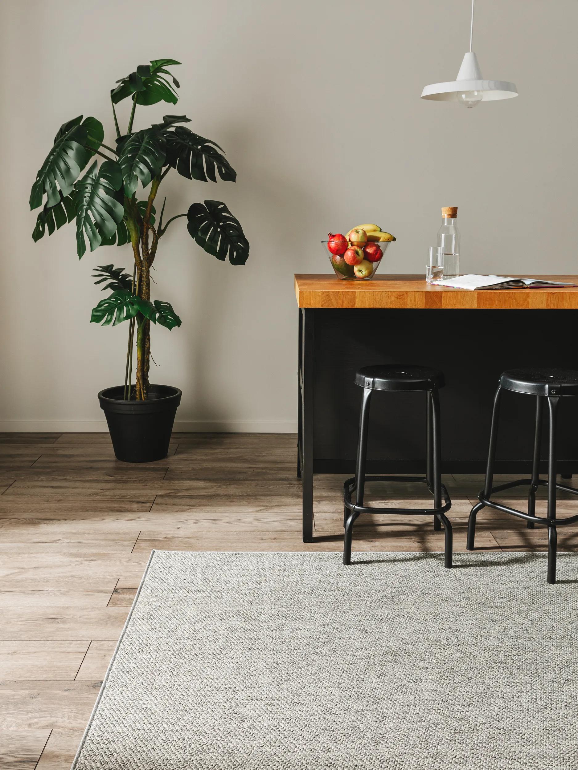 In- & Outdoor Rug Iowa Light Grey