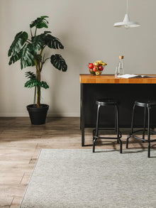 In- & Outdoor Rug Iowa Light Grey