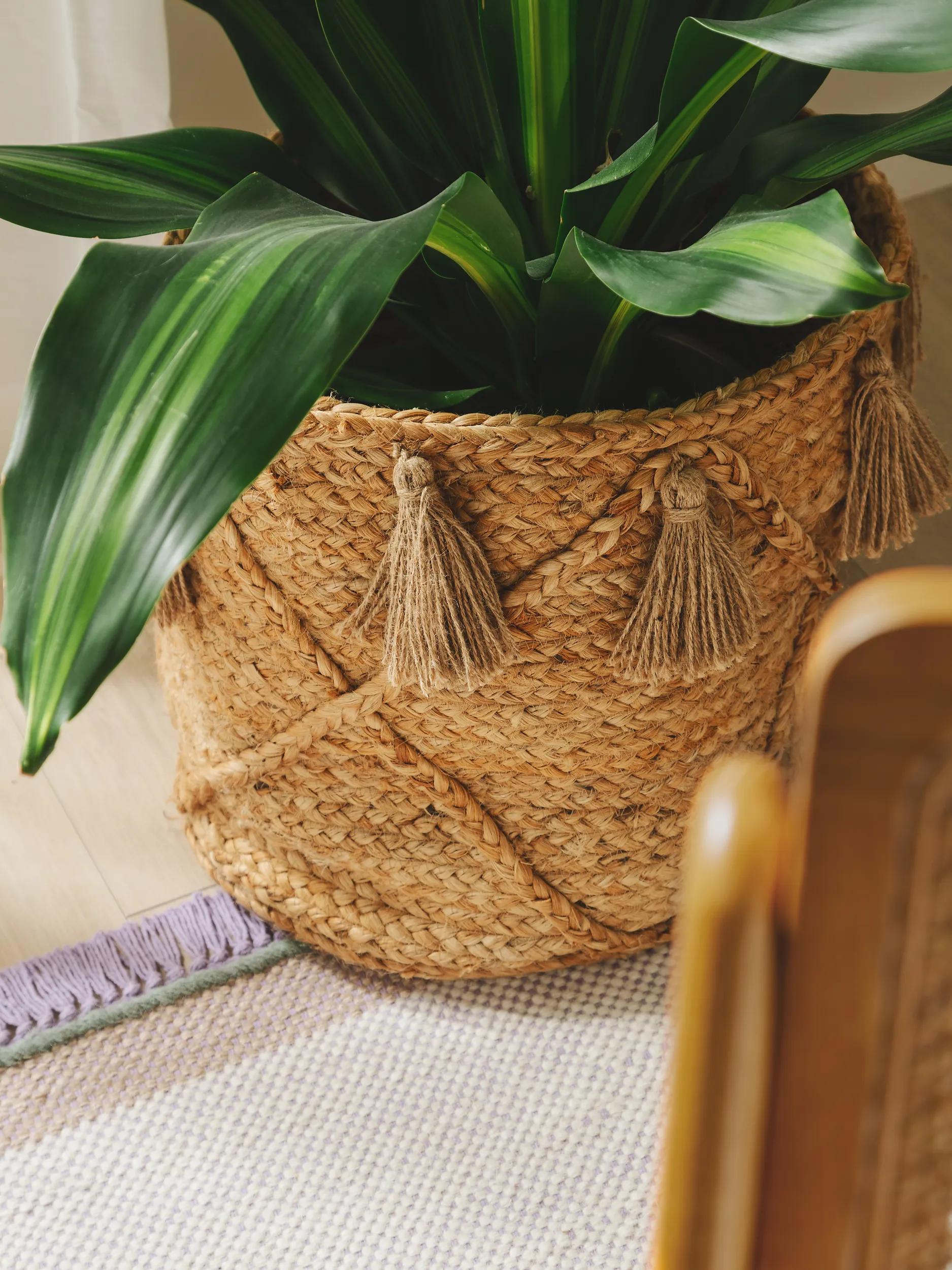 Basket Judi natural