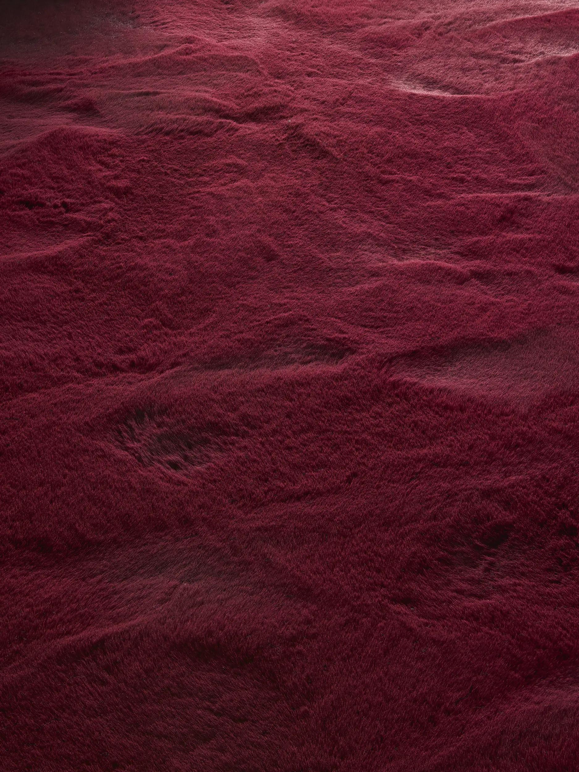 Runner Lux Bordeaux