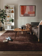 Washable Shaggy Rug Melvin Brown